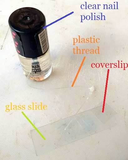 items required to create the anti-squish slide
